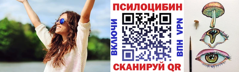 Галлюциногенные грибы MAGIC MUSHROOMS  Западная Двина 